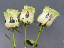 Load image into Gallery viewer, Picture Rose Tutorial & Supply List